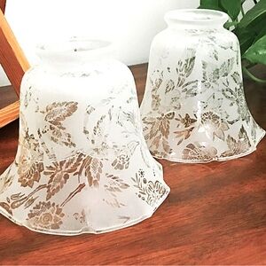 Delicate Antique Acid Etched Light Shade Sconces Pair